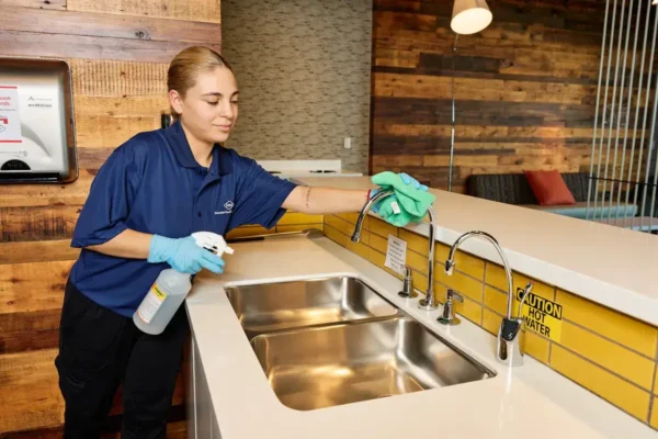 Disinfecting the Kitchen Sink
