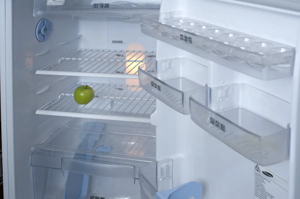 Detailed view of refrigerator shelves during a complete top-to-bottom interior cleaning.