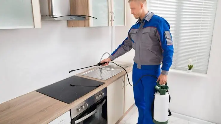 Applying a kitchen disinfectant spray to sanitize the countertop surface.