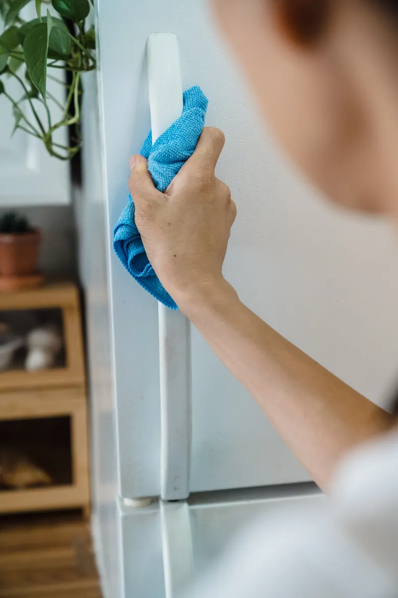 Drying refrigerator door seal gasket thoroughly with cloth to prevent mold