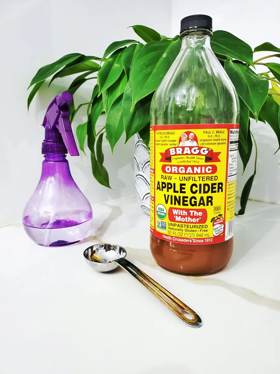 Standard white vinegar bottle and plain baking soda box on a kitchen counter