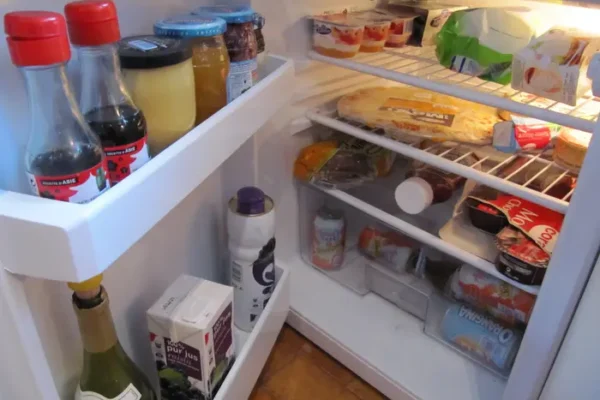 Refrigerator Cleaning Guide