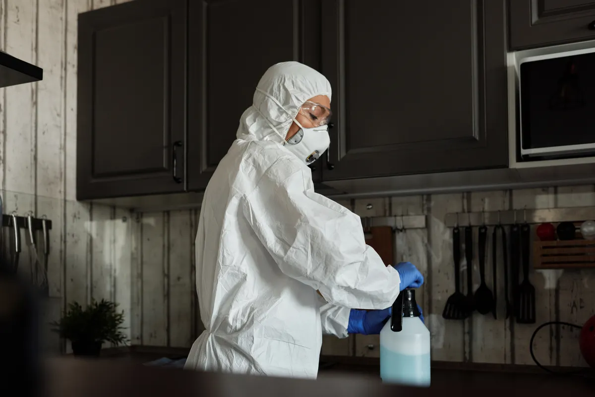 Safe cleaning chemicals properly organized to avoid hazardous mixing during kitchen maintenance.
