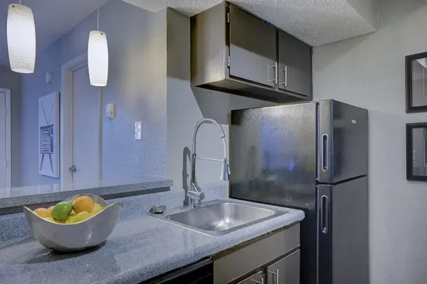 Stainless Steel Countertop Cleaning