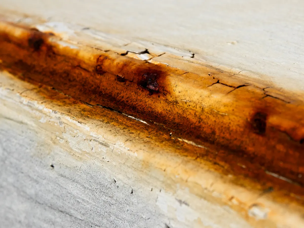 A worn-out sponge with visible cracks and discoloration, indicating it's time for replacement.